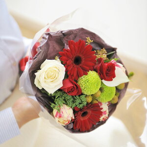 yzu[P@SSTCY@VbN_nfUCi[Yt[ AWgt[ j   ԑ u[P t[Mtg  v[g 蕨 Sz bZ[W