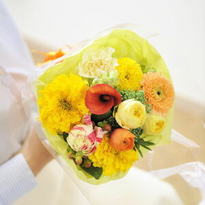 yzu[P@SSTCY@JWAnfUCi[Yt[ AWgt[ j   ԑ u[P t[Mtg  v[g 蕨 Sz bZ[WJ