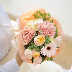 yzu[P@SSTCY@veB[nfUCi[Yt[ AWgt[ j   ԑ u[P t[Mtg  v[g 蕨 Sz bZ[WJ