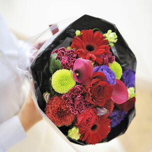 yzu[P@STCY@VbN_nfUCi[Yt[ AWgt[ j   ԑ u[P t[Mtg  v[g 蕨 Sz bZ[WJ