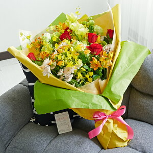 ԑEu[P@傫ȊS܂ԑ@1.5~R[X ؂₩ N₩ IV j v[g 蕨 Sz  bZ[WJ[h y