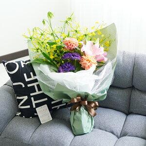 ꃊ{t@ԑEu[P@gJ[̑傫߉ԍށiMTCYj ؂₩ N₩ IV j v[g 蕨 bZ[WJ[h y