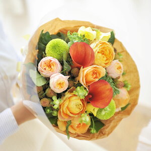 yzu[P@STCY@JWAnfUCi[Yt[ AWgt[ j   ԑ u[P t[Mtg  v[g 蕨 Sz bZ[WJ[