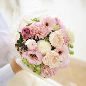 yzu[P@STCY@veB[nfUCi[Yt[ AWgt[ j   ԑ u[P t[Mtg  v[g 蕨 Sz bZ[WJ[