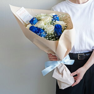 ԑEu[P@Eo12{JX~\E ؂₩ N₩ IV j v[g 蕨 bZ[WJ[h y