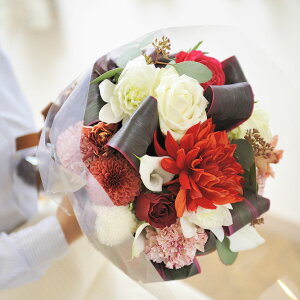 yzu[P@MTCY@VbN_nfUCi[Yt[ AWgt[ j   ԑ u[P t[Mtg  v[g 蕨 Sz bZ[WJ