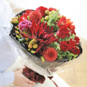 yzu[P@LTCY@VbN_nfUCi[Yt[ AWgt[ j   ԑ u[P t[Mtg  v[g 蕨 Sz bZ[WJ