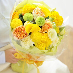 yzu[P@LTCY@JWAnfUCi[Yt[ AWgt[ j   ԑ u[P t[Mtg  v[g 蕨 Sz bZ[WJ[