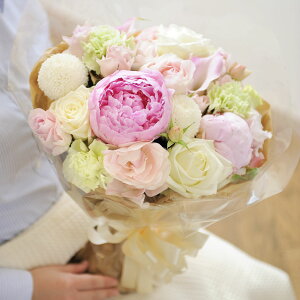 yzu[P@LTCY@veB[nfUCi[Yt[ AWgt[ j   ԑ u[P t[Mtg  v[g 蕨 Sz bZ[WJ[