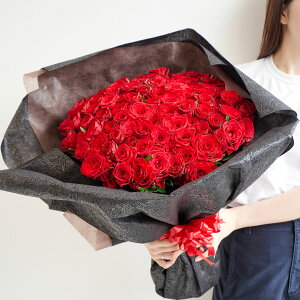 yIzԑ@o100{iԁjaj j ސEj j җj oj j v|[Y o[Xf[ 蕨 t[Mtg v[g j   