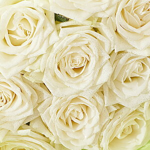 yzԑEu[P@Vo[dli_Chjo12{KN Y j   t[Mtg  v[g 蕨 Sz bZ[WJ[h  y