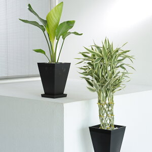 YI܂6@2Zbg@pMtJXj JƏj ACj ސEj aj j j Vzj zj h]j 蕨 v[g j ϗtA Ce