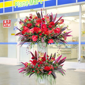 MtgE蕨IX^hԁ@i1Fw@2.9~R[XiԌnjz\JXj JƏj J@j oj j I[vj j VJX j[A j t