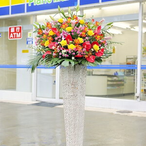 yE莝͂zX^h1i@zCguLX^h@2~R[X@Ԃ܂͂OKEDtEݒubJXEJƁEړ]EJ@Ej[A