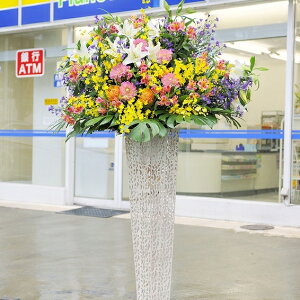 yE莝͂zX^h1i@zCguLX^h@2.5~R[X@Ԃ܂͂OKEDtEݒubJXEJƁEړ]EJ@Ej[A