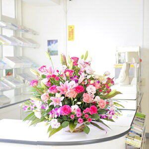 zOK̑^AWgt[sNFn1.4~R[XJXj JƏj ACj ij ސEj h] 蕨 t[Mtg v[g j  zOK 