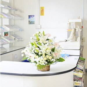 AWgt[STCY EWFn1~R[Xړ]j zj Vzj ސEj h] 蕨 t[Mtg v[g j  zOK  bZ[WJ[