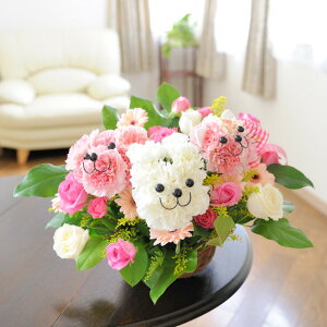 Aj}AWEXyViԃ^Cvjt[Mtg t[AWg N}  aj oYj j  y bZ[WJ[h