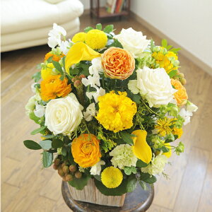 fUCi[YEAWg@JWAEFIWnJXj JƏj J@j JǏj I[vLO 蕨 t[Mtg v[g j   bZ[WJ[