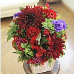 fUCi[YEAWg@Vivid@RediԌnjJXj JƏj ACj ij ސEj h] 蕨 t[Mtg v[g j   bZ[WJ[h 