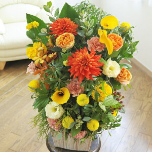 fUCi[YEAWg@JWAEFIWno oj uj j \ Cxg  y 蕨 t[Mtg v[g j   bZ