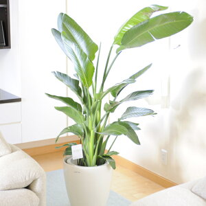 yzϗtA@Xg`AEI[KX^@10۔Jo[t yԌtJ[htzv[g t[Mtg JXj JƏj J@j JǏj ړ]j j Vzj