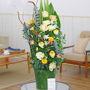 fUCi[Yt[Green Leaf Pot Ԋ킪ΊJXj JƏj ACj ij ސEj h] 蕨 t[Mtg v[g j   bZ[WJ[h 