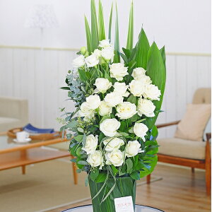 fUCi[Yt[Green Leaf Pot Ԋ킪ΊJXj JƏj ACj ij ސEj h] 蕨 t[Mtg v[g j   bZ[WJ[h 