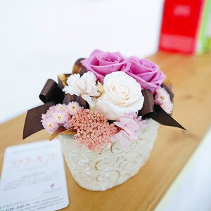 ydt̂jԁzLÕv[gALOʂȓ̑蕨ɃvU[uht[@S[h|bgySz