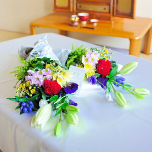 ԁ@Qp@ԁ@ԑZbg ʎ  V  l\ ~ ފ  N    ݉ 蕨 t[Mtg   ԑ  