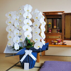 楽天市場 弔電 生花の通販