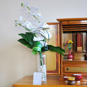 ԁ@ԃA[g@֌Ӓ@KX菉 l\ ~ ފ  N   @ @v   蕨  A[eBtBVt[ t[Mt