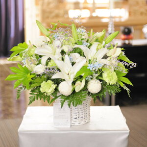 ԁ@fUCi[YAWgimԁj@1.5~R[Xʖ ʎ  V  l\ ~ ފ  N    ݉ t[Mtg   