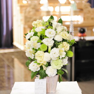 ԁ@fUCi[YAWgimԁECG[nj@1.5~R[Xʖ ʎ  V  l\ ~ ފ  N    ݉   A