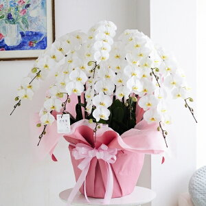 ،Ӓ10{ijJXj JƏj J@j JǏjړ]j ACj ij Ij nƏj j h]j 蕨 t[Mtg v[g j   