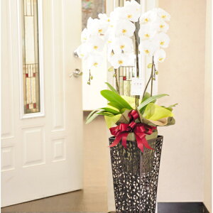 yE莝͂zX^htӒ@2~R[X͂OKEDtEݒuEybJXEJƁEړ]EJ@Ej[AI[vEE\E