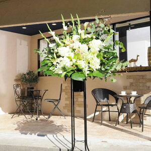 �X�^���h�ԁ@��i2.5���~�R�[�X�@�t���b�V���O���[���i��×�O���[���n�j�y�ݒu�E����E���D�����z�a���j�� �a���� �a���� �o�[�X�f�B �T�v���C�Y �o�� ���蕨 �t�����[�M�t�g �v���[���g 