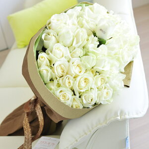 ybZ[WzԑEu[P@Iׂ6F@o50{@cт̃o_za j JXj ACj j Vzj zj ސEj 蕨 t[