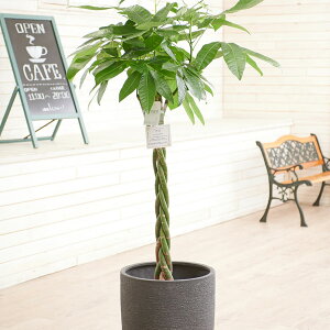 yzϗtA@pL@10@CeAJo[uOWA[ubNGbOvdly闧DԌtJ[hABȂ{tzv[g t[