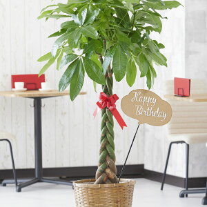 yz3D̃bZ[WDmHappy Birthdayio^jnt@ϗtA@pL@10oXPbgJo[ԌtJ[htj  ϗtA CeAO[ t[Mtg