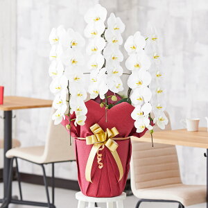 yzdEjdt@،Ӓ3{ij@2~R[Xi36`39֒xj䎆FIWӒ R`E   aj j j t[Mtg v[