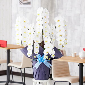 yz莝z@Ӓ5{ij@3~R[Xi50`55֒xjӒ R`E   aj j j t[Mtg v[g 蕨 Sz D