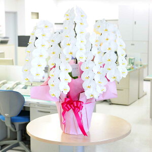 yz莝z@،Ӓ5{ij@4~R[Xi60`65֒xjӒ R`E   aj j j t[Mtg v[g 蕨 Sz 