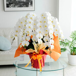 yz،Ӓ7{ij6~R[Xi84`90֒xjӒ R`E   aj j j t[Mtg v[g 蕨 Sz D bZ[