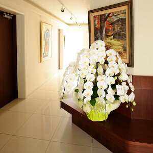 yz莝z@،Ӓ7{ij@7~R[Xi84`100֒xjӒ R`E   aj j j t[Mtg v[g 蕨 Sz 