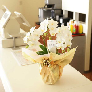 yz莝z@Ӓ~fB@3{i27֒xjӒ R`E   aj j j t[Mtg v[g 蕨 Sz D bZ[WJ