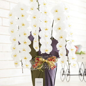 yz胉bsOmãRRnӒ@3{ij@42`51֒xӒ R`E   aj j j t[Mtg v[g 蕨 Sz 