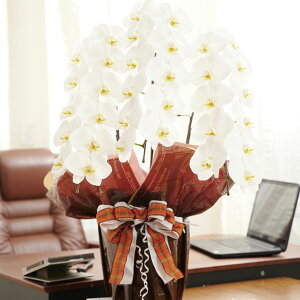 yz胉bsOmVRVRnӒ@3{ij@30`33֒xӒ R`E   aj j j t[Mtg v[g 蕨 S