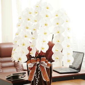 yz胉bsOmVRVRnӒ@3{ij@36`39֒xӒ R`E   aj j j t[Mtg v[g 蕨 S