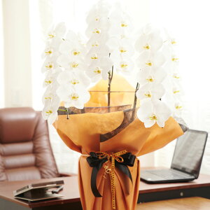 yz胉bsOmm[uEIWnӒ@3{ij@30`33֒xӒ R`E   aj j j t[Mtg v[g 